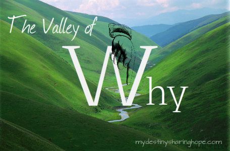 valleyofwhy