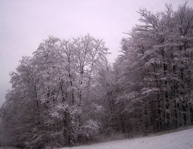 winter