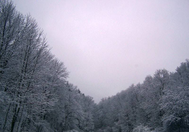 winter