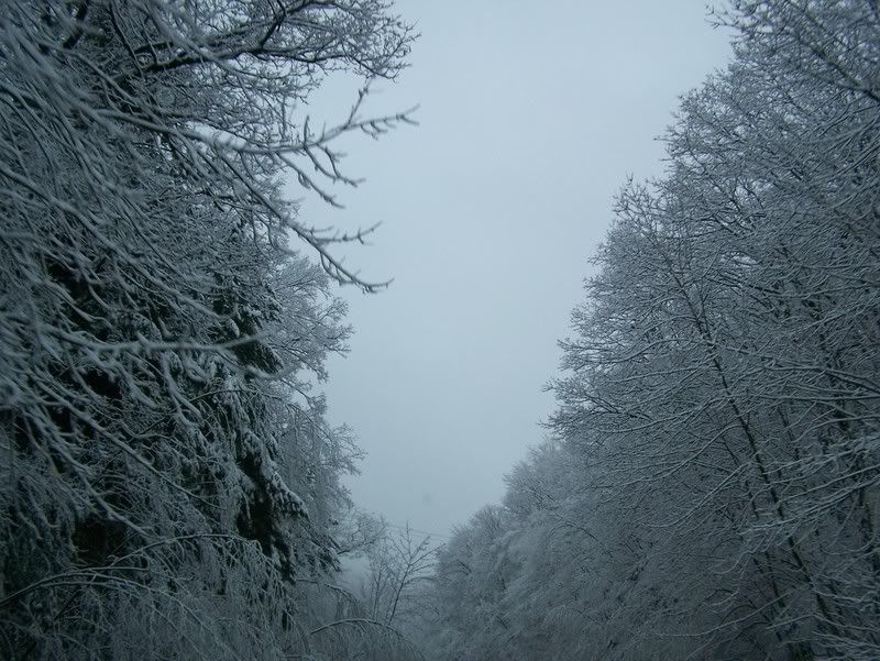 winter