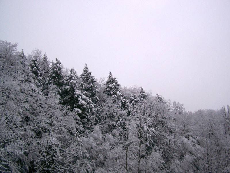 winter