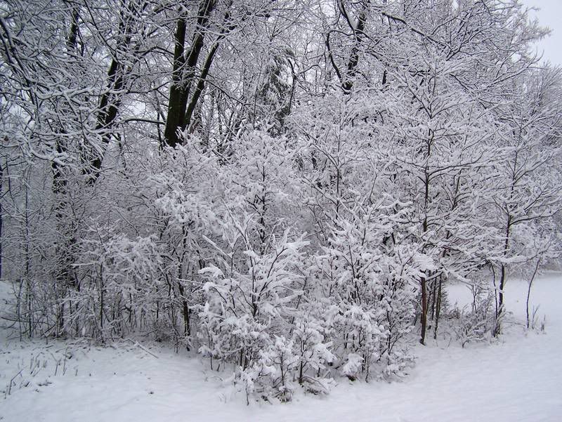 winter