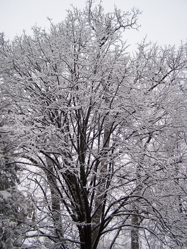 winter