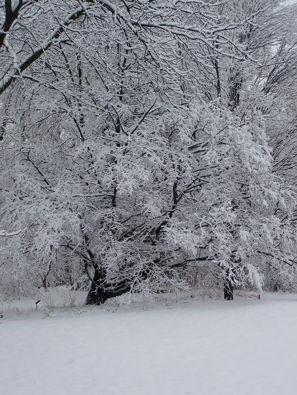 winter