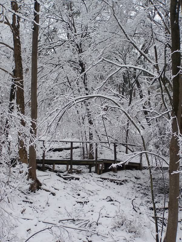 winter