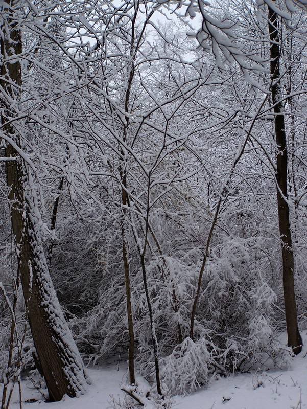 winter