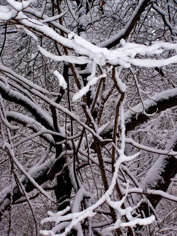 winter