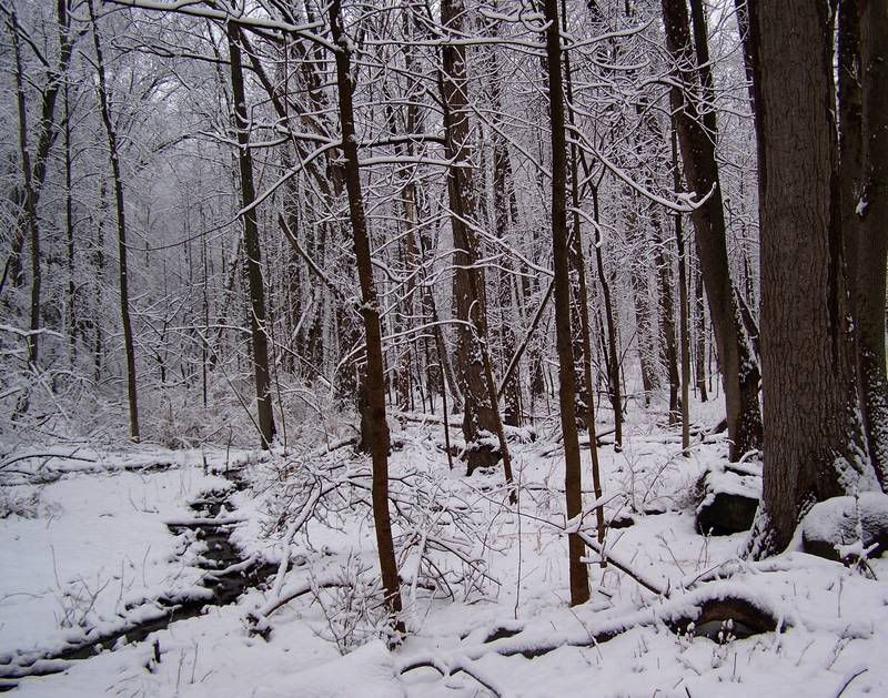 winter