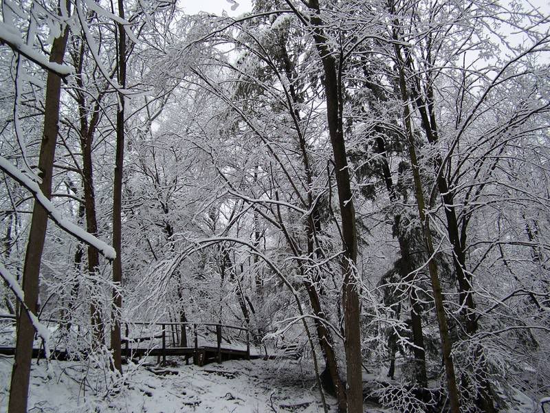 winter