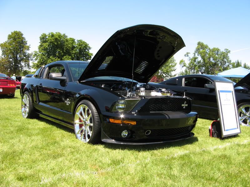 BartsSuperSnake02.jpg