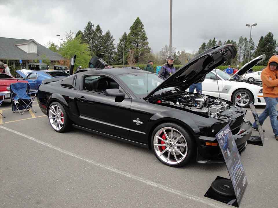 DSC010952010May1SuperSnake.jpg