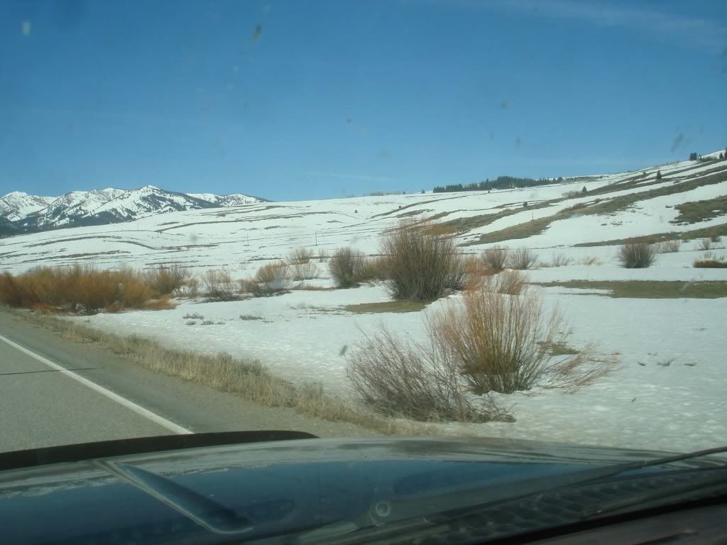 DSC08114SunValleySleddingApril09.jpg