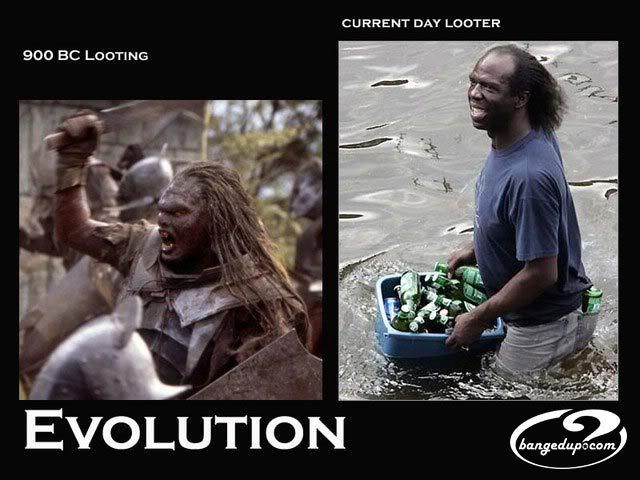 LootingEvolution.jpg