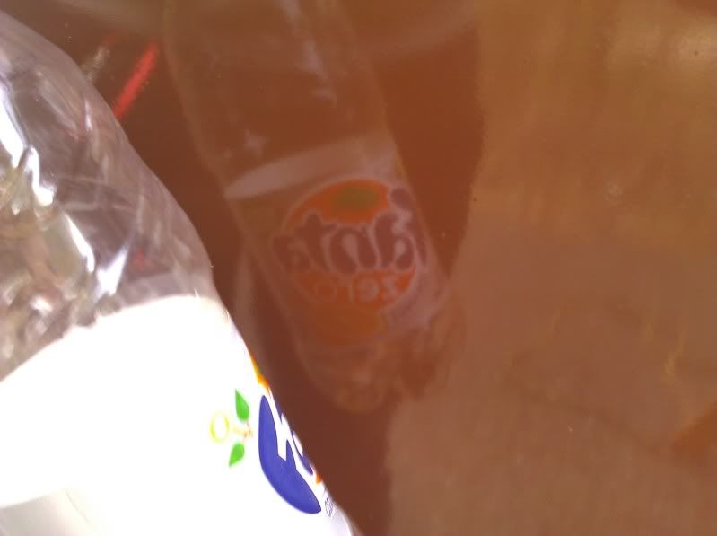 IMG_20110314_162348.jpg