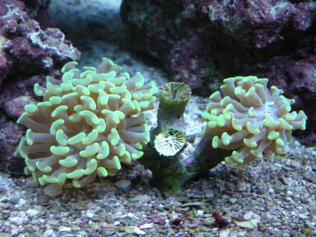 CamPics294.jpg