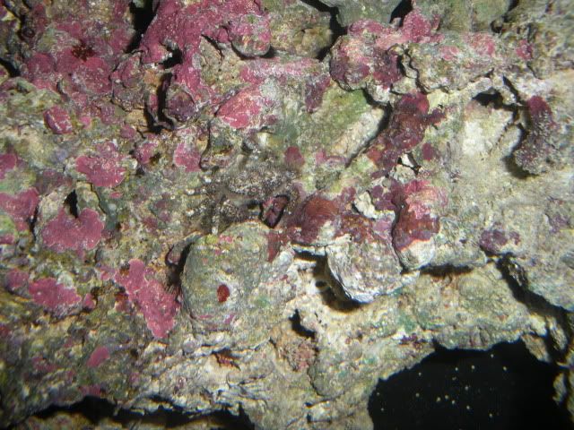 CamPics307.jpg