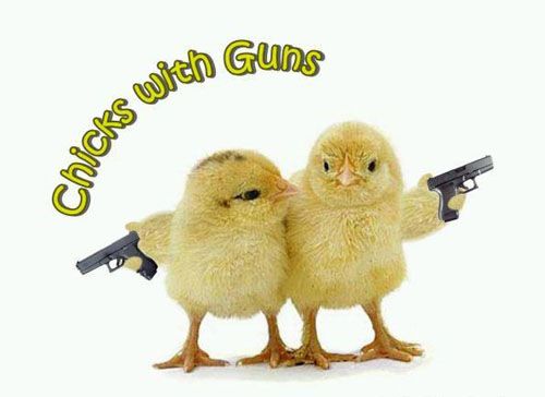 funny dogs with guns. Funny Chicks with guns
