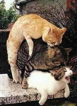 Click here for MySpace Funny Pictures and Images