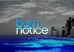 Burn Notice 2