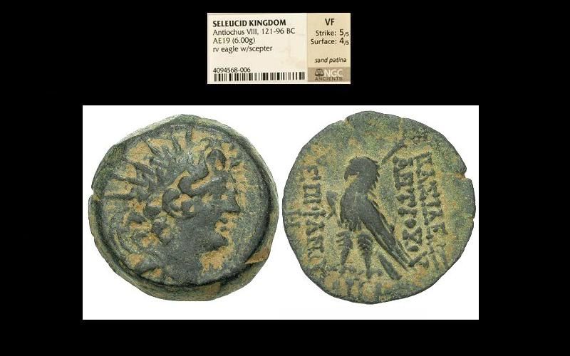 ADAM-Seleucid-AE19-AntiochusVIII-011000.jpg