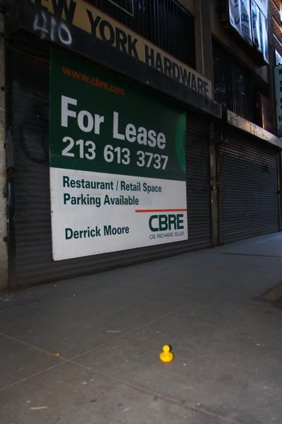 IMAGE: http://i88.photobucket.com/albums/k173/ryant35/Duckies/IMG_2661.jpg