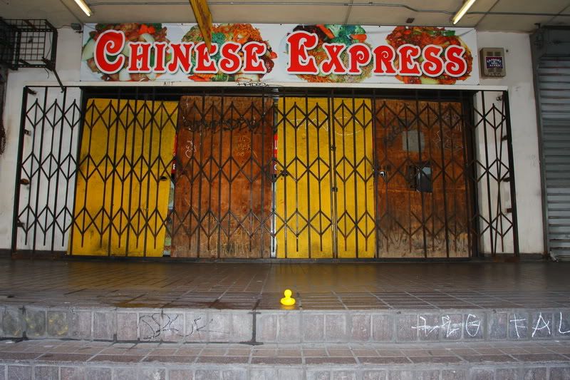 IMAGE: http://i88.photobucket.com/albums/k173/ryant35/Duckies/IMG_2694.jpg