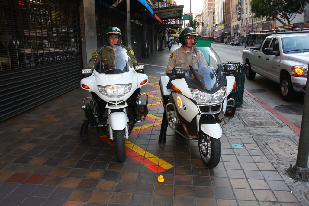 IMAGE: http://i88.photobucket.com/albums/k173/ryant35/Duckies/IMG_2695.jpg