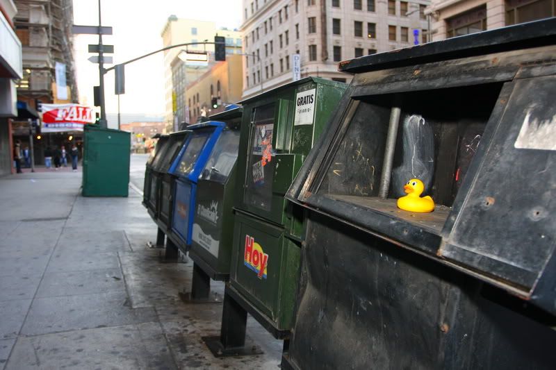 IMAGE: http://i88.photobucket.com/albums/k173/ryant35/Duckies/IMG_2710.jpg