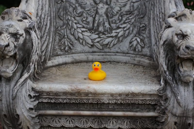 IMAGE: http://i88.photobucket.com/albums/k173/ryant35/Duckies/IMG_2747.jpg