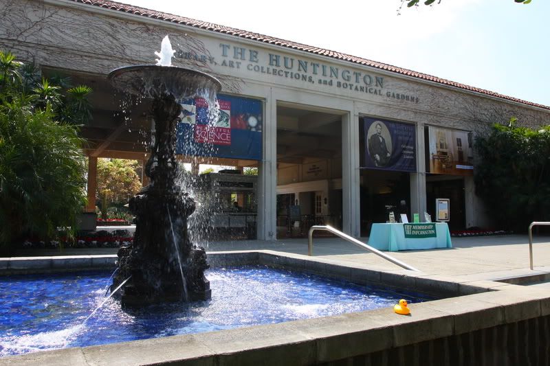 IMAGE: http://i88.photobucket.com/albums/k173/ryant35/Duckies/IMG_2974.jpg