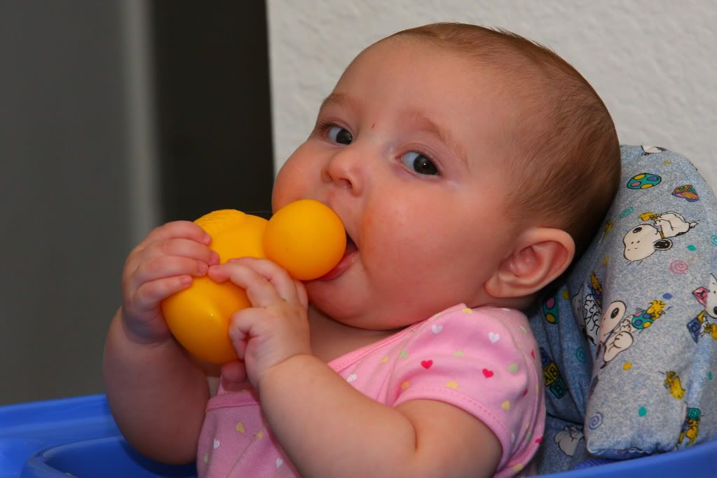 IMAGE: http://i88.photobucket.com/albums/k173/ryant35/Duckies/IMG_3440.jpg