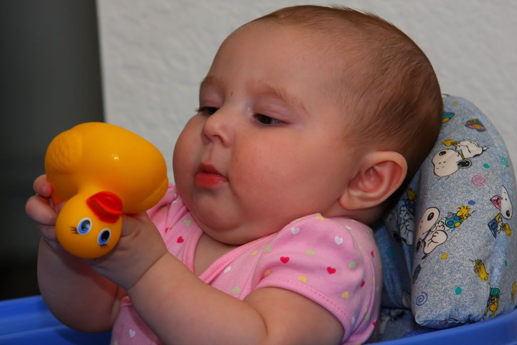 IMAGE: http://i88.photobucket.com/albums/k173/ryant35/Duckies/IMG_3443.jpg