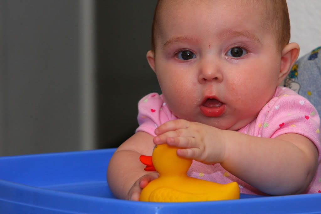 IMAGE: http://i88.photobucket.com/albums/k173/ryant35/Duckies/IMG_3448.jpg