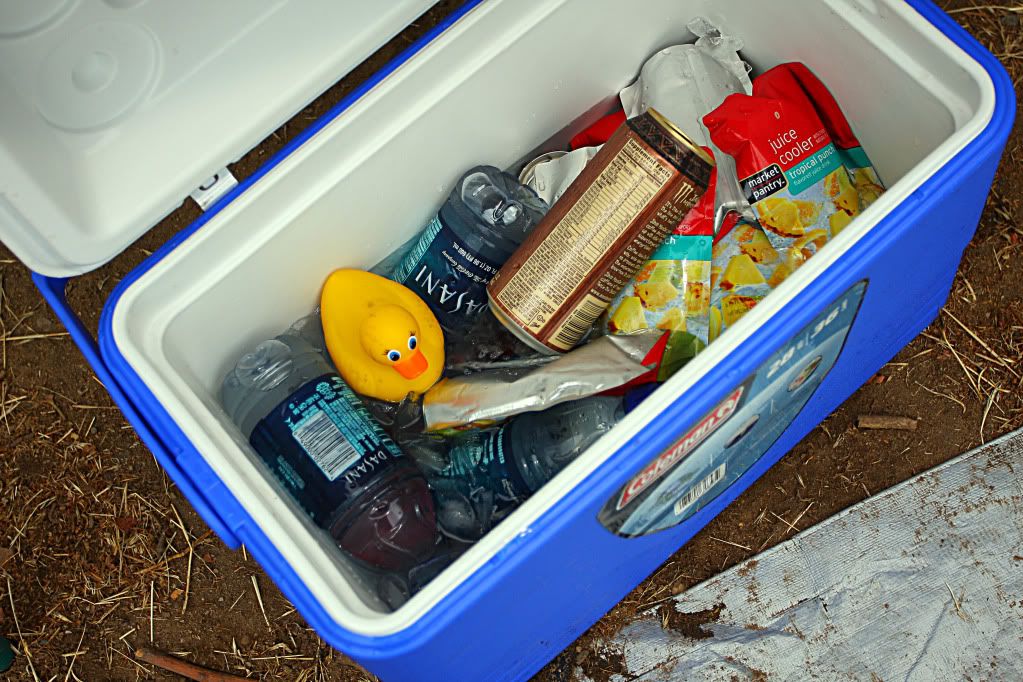 IMAGE: http://i88.photobucket.com/albums/k173/ryant35/Duckies/IMG_6485.jpg