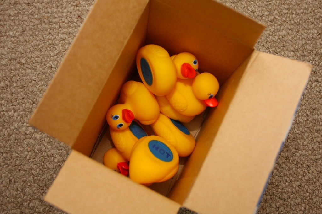 IMAGE: http://i88.photobucket.com/albums/k173/ryant35/Duckies/IMG_7059.jpg