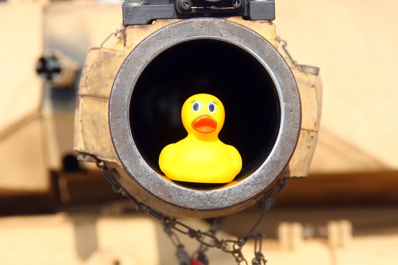 IMAGE: http://i88.photobucket.com/albums/k173/ryant35/Duckies/IMG_8569.jpg