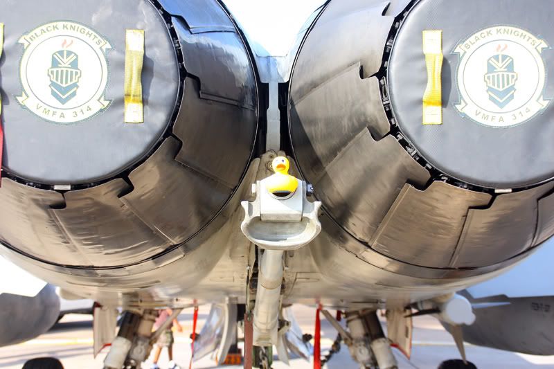 IMAGE: http://i88.photobucket.com/albums/k173/ryant35/Duckies/IMG_8588.jpg