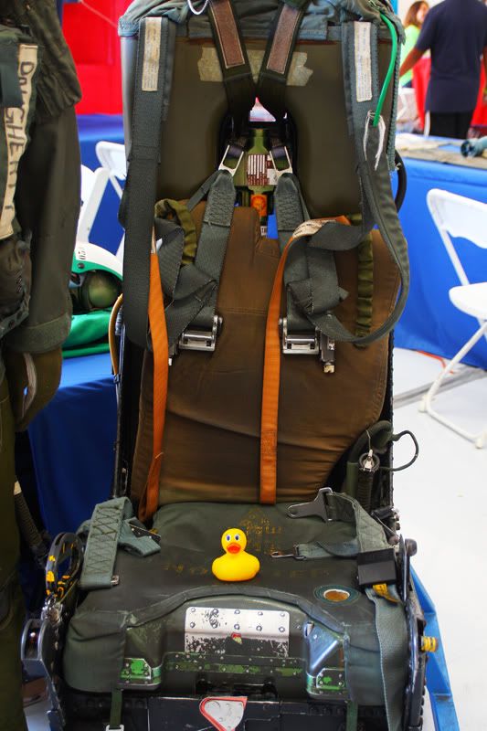 IMAGE: http://i88.photobucket.com/albums/k173/ryant35/Duckies/IMG_8600.jpg