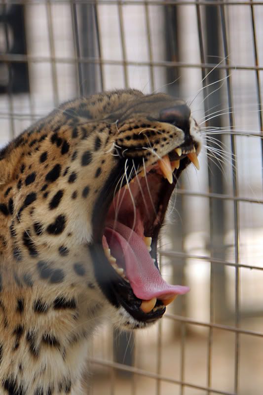 IMAGE: http://i88.photobucket.com/albums/k173/ryant35/IMG_0283.jpg