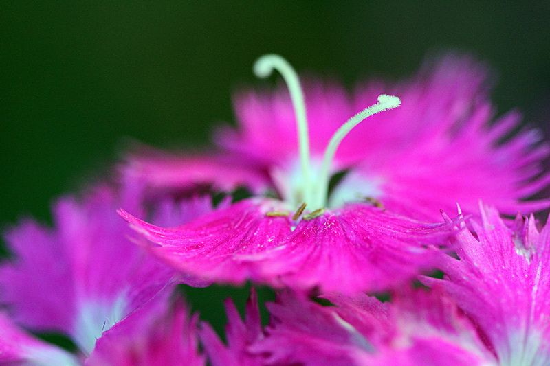 IMAGE: http://i88.photobucket.com/albums/k173/ryant35/IMG_0422.jpg