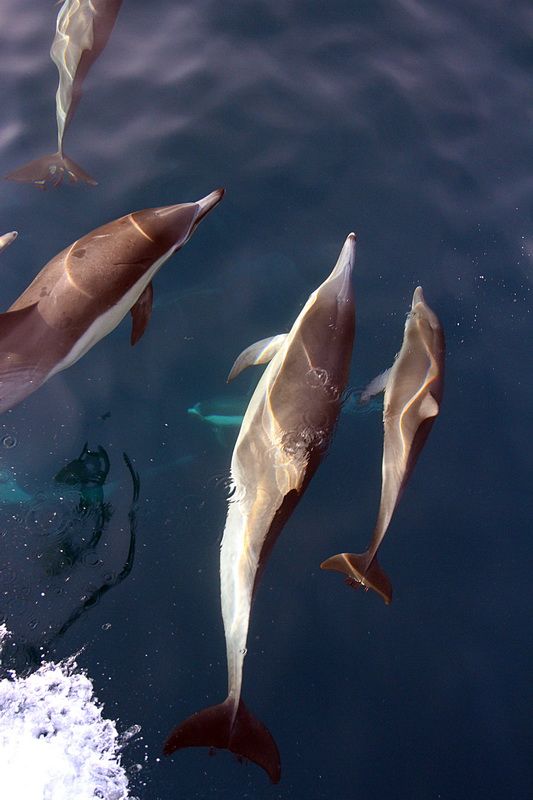 IMAGE: http://i88.photobucket.com/albums/k173/ryant35/IMG_1243.jpg