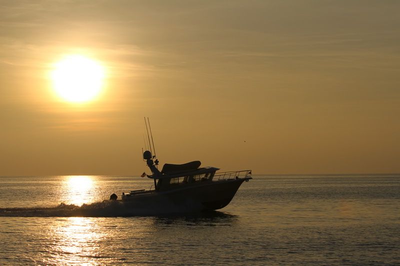 IMAGE: http://i88.photobucket.com/albums/k173/ryant35/IMG_1902.jpg