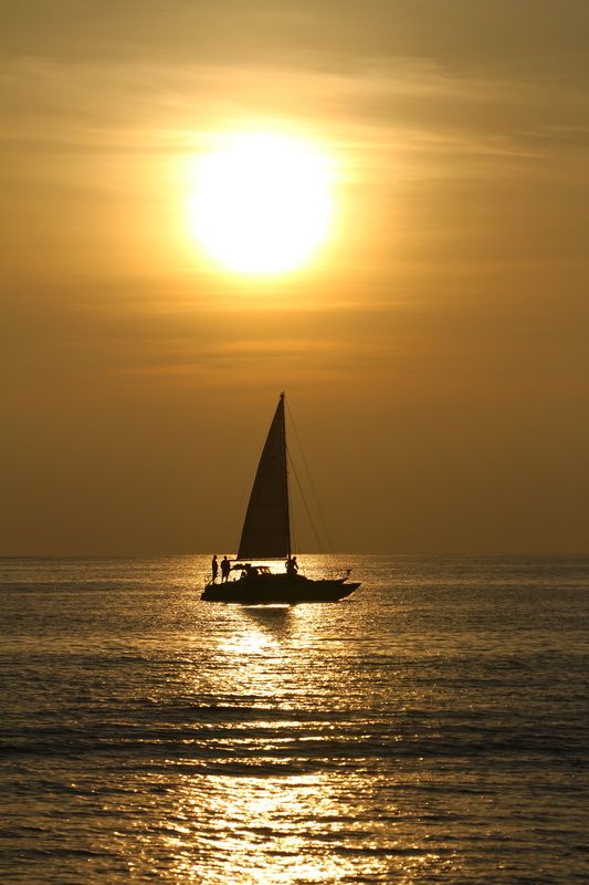 IMAGE: http://i88.photobucket.com/albums/k173/ryant35/IMG_1946.jpg