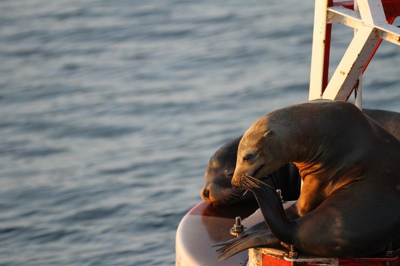 IMAGE: http://i88.photobucket.com/albums/k173/ryant35/IMG_2059.jpg