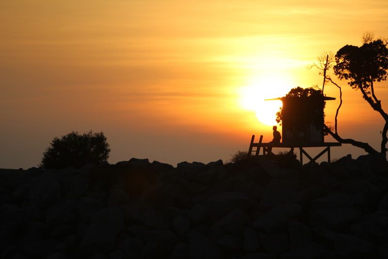 IMAGE: http://i88.photobucket.com/albums/k173/ryant35/IMG_2205.jpg