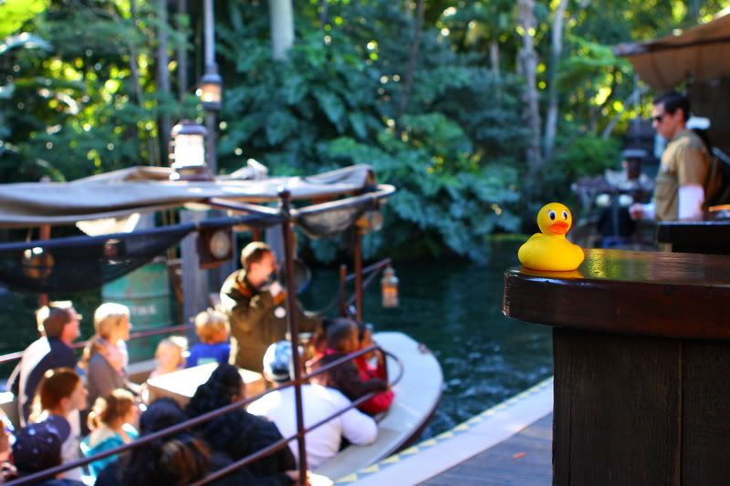 IMAGE: http://i88.photobucket.com/albums/k173/ryant35/IMG_2870.jpg