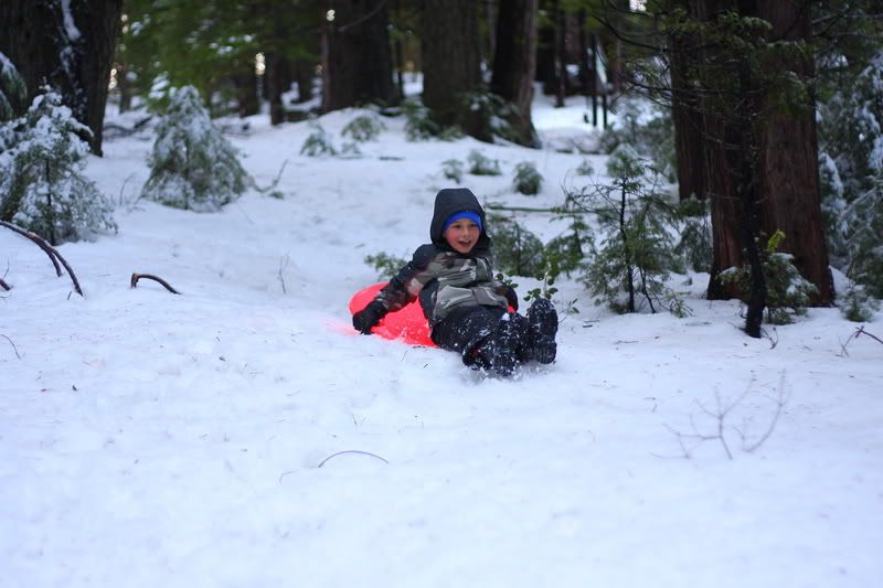 IMAGE: http://i88.photobucket.com/albums/k173/ryant35/IMG_3132_resize.jpg