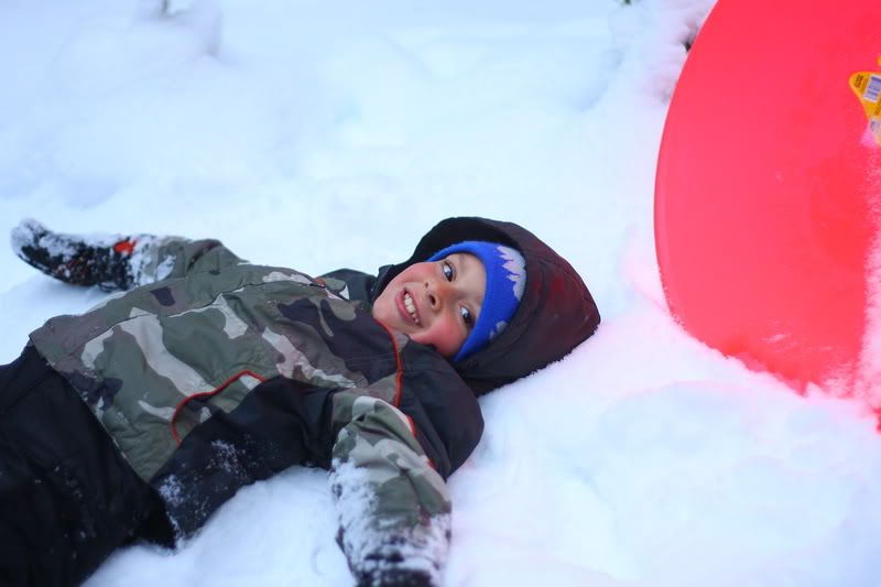 IMAGE: http://i88.photobucket.com/albums/k173/ryant35/IMG_3145_resize.jpg