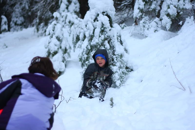 IMAGE: http://i88.photobucket.com/albums/k173/ryant35/IMG_3244_resize.jpg