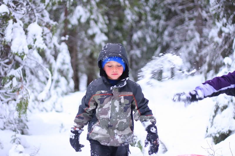 IMAGE: http://i88.photobucket.com/albums/k173/ryant35/IMG_3271_resize.jpg